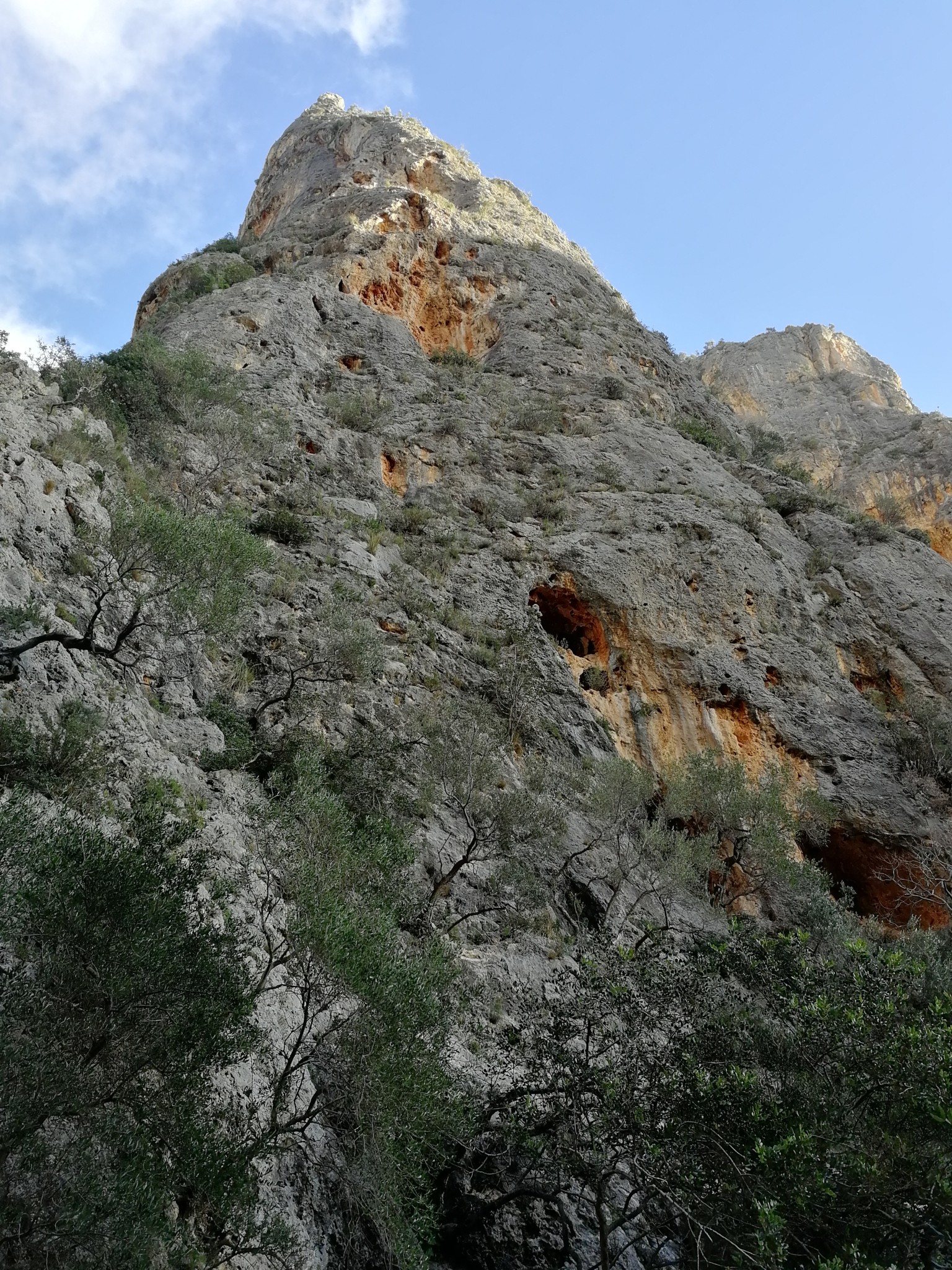 Klettern im Klettergebiet Sa Gubia