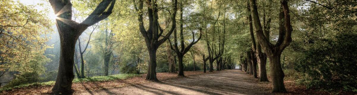 Die Natur bei einer Alpaka Wanderung in Dortmund