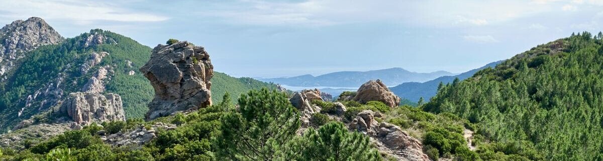 Flora und Fauna beim Wandern auf Korsika