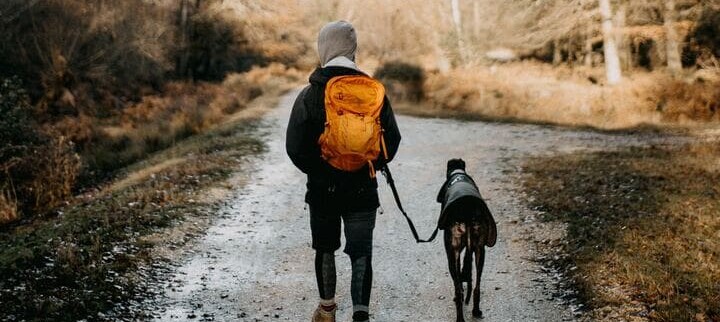 Wandern mit Hund - Darauf kommt es an