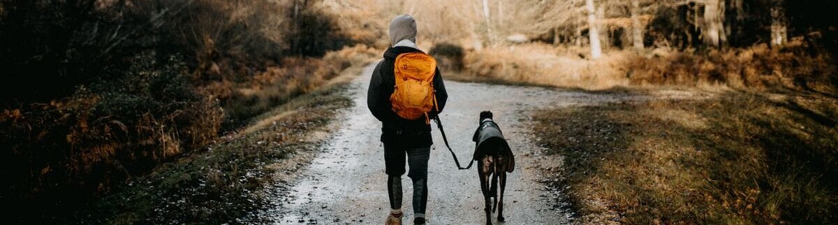 Wandern mit Hund - Darauf kommt es an